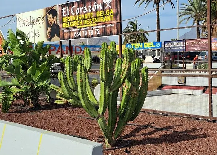 Casa Alexandra Apartman