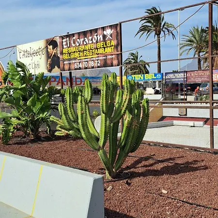 Casa Alexandra Appartement